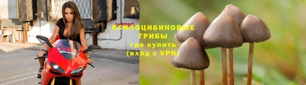прущая мука Вяземский