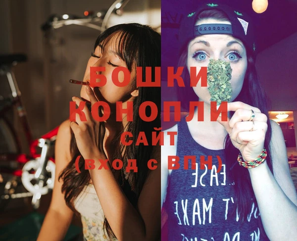 гидра Вязники