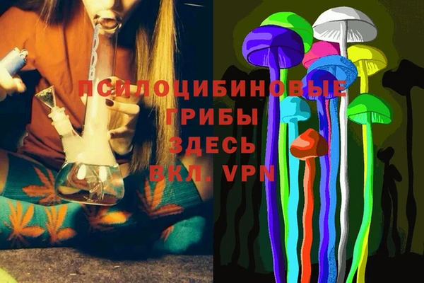 гидра Вязники