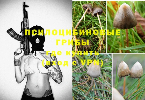 прущая мука Вяземский
