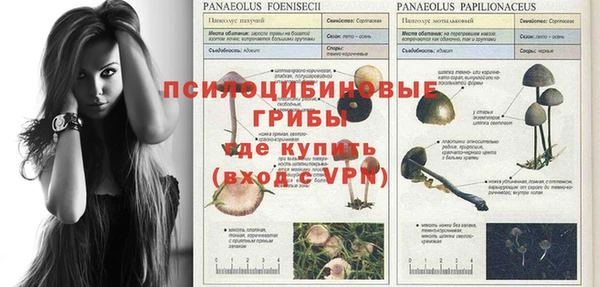 гидра Вязники