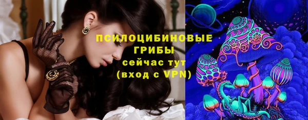прущая мука Вяземский