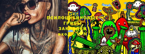 гидра Вязники