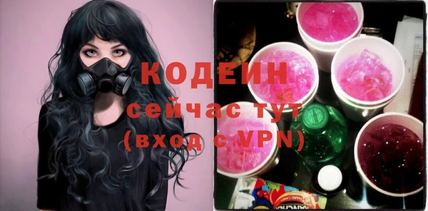 прущая мука Вяземский