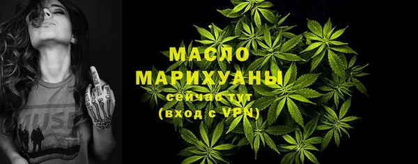 прущая мука Вяземский
